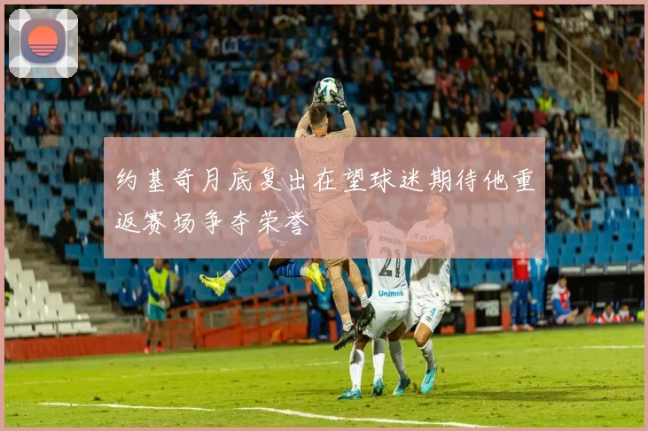 约基奇月底复出在望球迷期待他重返赛场争夺荣誉
